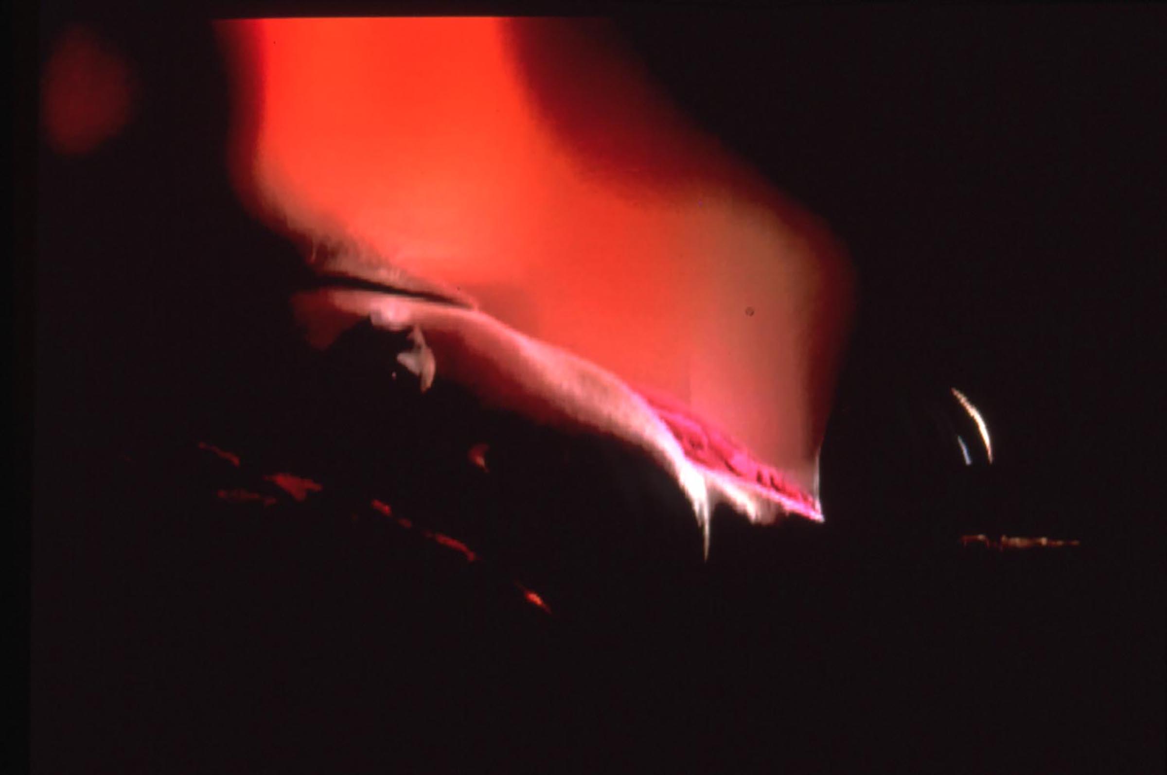 Francesco Vezzoli, The End of Human Voice, 2001